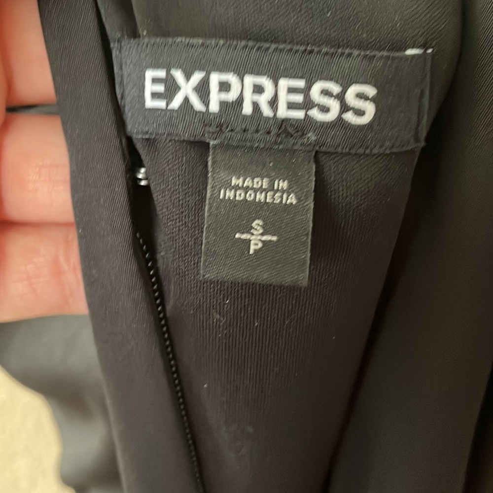 Express Dress - Picture 5 of 5